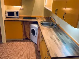 Pronájem bytu 1+kk, Praha - Holešovice, U Pergamenky, 28 m2