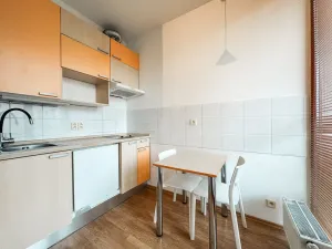 Pronájem bytu 1+kk, Praha - Žižkov, Lukášova, 27 m2