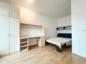Pronájem bytu 1+kk, Praha - Žižkov, Lukášova, 27 m2