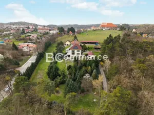 Prodej vily, Dolní Kounice, Zámecká, 270 m2