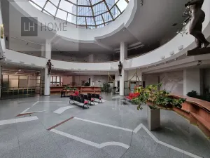 Pronájem obchodního prostoru, Plzeň, 200 m2