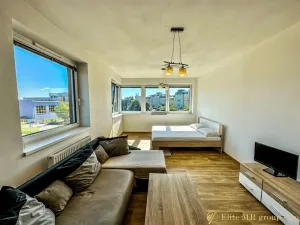 Pronájem bytu 1+kk, Mladá Boleslav, 17. listopadu, 45 m2
