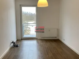 Pronájem bytu 3+kk, Tábor, Fibichova, 101 m2