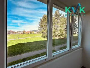 Prodej bytu 2+1, Ostrov, Družební, 66 m2