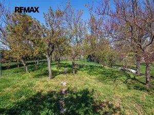 Prodej rodinného domu, Podivín, Sokolská, 220 m2