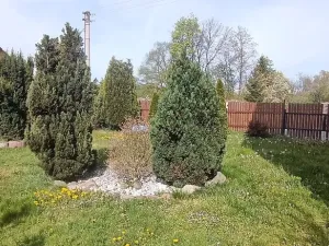 Pronájem bytu 3+kk, Příbram - Příbram VI-Březové Hory, Prokopská, 122 m2