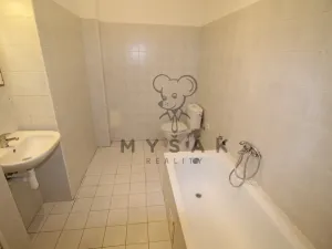 Pronájem bytu 2+kk, České Budějovice, Holečkova, 56 m2