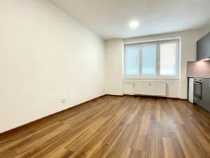 Prodej bytu 1+kk, Lovosice, Sady pionýrů, 25 m2