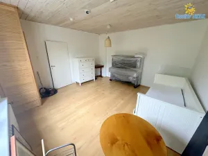 Pronájem vily, Praha - Břevnov, 8. listopadu, 280 m2