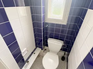 Pronájem vily, Praha - Břevnov, 8. listopadu, 280 m2