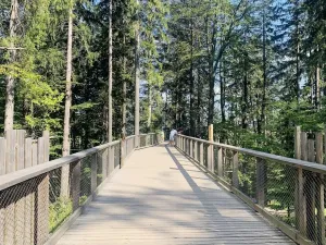 Prodej bytu 3+kk, Vrchlabí - Hořejší Vrchlabí, Horská, 64 m2
