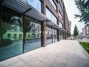 Pronájem obchodního prostoru, Brno, Vlněna, 150 m2
