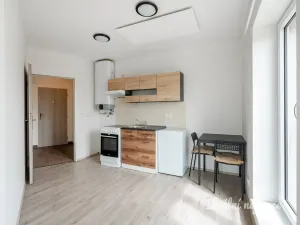 Pronájem bytu 1+kk, Škvorec - Třebohostice, 23 m2