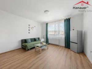 Prodej bytu 2+kk, Děčín - Děčín XXXII-Boletice nad Labem, Čsl. partyzánů, 42 m2