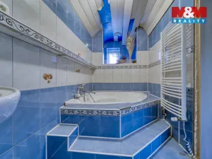 Prodej rodinného domu, Sokolov - Vítkov, Stará Ovčárna, 340 m2