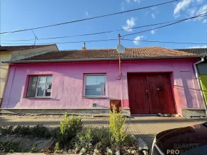 Prodej rodinného domu, Moravská Nová Ves, Ukrajina, 120 m2