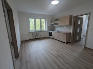 Pronájem bytu 2+kk, Ústí nad Labem - Neštěmice, Mlýnská, 53 m2