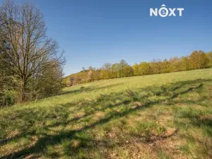 Prodej pozemku pro bydlení, Velké Losiny, 1856 m2