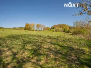 Prodej pozemku pro bydlení, Velké Losiny, 1856 m2