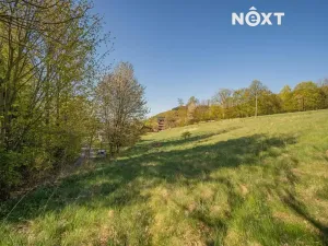 Prodej pozemku pro bydlení, Velké Losiny, 1856 m2