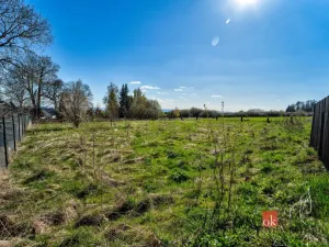 Prodej pozemku pro bydlení, Zádub-Závišín - Zádub, 1572 m2