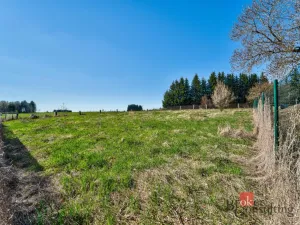 Prodej pozemku pro bydlení, Zádub-Závišín - Zádub, 1572 m2