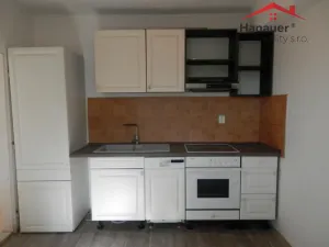 Pronájem bytu 3+1, Ústí nad Labem - Střekov, Novoveská, 74 m2