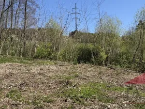Prodej louky, Sušice, 1971 m2