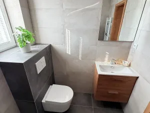 Pronájem bytu 2+kk, Brno - Ivanovice, Hřebíčková, 48 m2