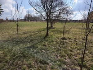 Prodej pozemku pro bydlení, Strojetice, 848 m2