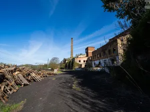 Prodej komerční nemovitosti, Povrly - Neštědice, Pod Kozákem, 35000 m2