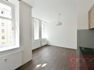 Pronájem bytu 1+kk, Praha - Vinohrady, Lucemburská, 30 m2