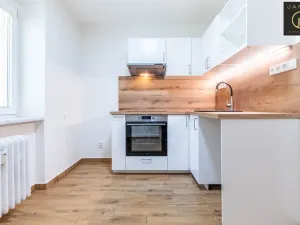 Prodej bytu 1+1, Kladno, Sevastopolská, 30 m2