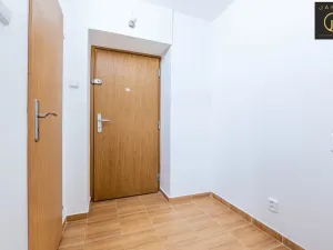 Prodej bytu 1+1, Kladno, Sevastopolská, 30 m2