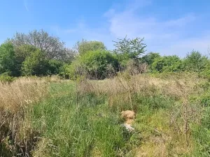 Prodej pozemku pro bydlení, Kunice, Na Kuničkách, 2933 m2