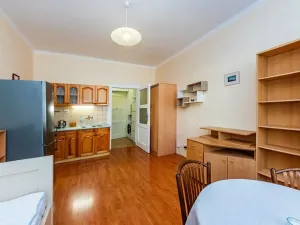 Pronájem bytu 1+kk, Praha - Nusle, Pod pramenem, 24 m2