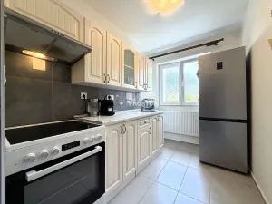 Prodej bytu 3+1, Slaný - Otruby, 59 m2