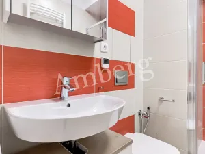 Pronájem bytu 1+kk, Praha - Karlín, U Sluncové, 33 m2
