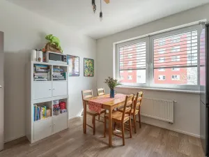 Prodej bytu 1+1, Brno, Turgeněvova, 49 m2