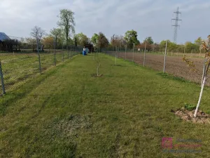 Prodej zahrady, Valtice, Zámek, 619 m2