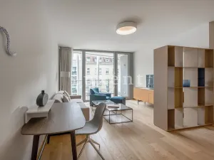 Pronájem bytu 2+kk, Praha, Holečkova, 74 m2