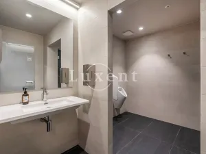 Pronájem bytu 2+kk, Praha, Holečkova, 74 m2
