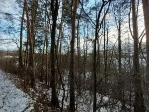 Prodej lesa, Hořepník, 10345 m2
