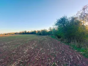 Prodej pozemku pro bydlení, Unín, 11943 m2