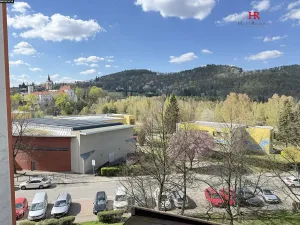 Prodej bytu 1+1, Sázava, Sídliště 9. května, 42 m2