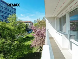 Prodej bytu 2+1, Ústí nad Labem, Velká Hradební, 51 m2