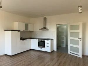 Pronájem bytu 1+kk, Praha - Žižkov, Hartigova, 35 m2