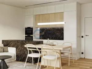 Prodej bytu 2+kk, Opava, Husova, 56 m2