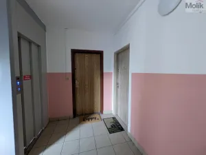 Prodej bytu 3+1, Teplice - Prosetice, Pod hvězdárnou, 74 m2