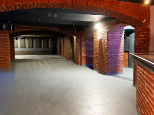 Pronájem obchodního prostoru, Olomouc, Komenského, 284 m2